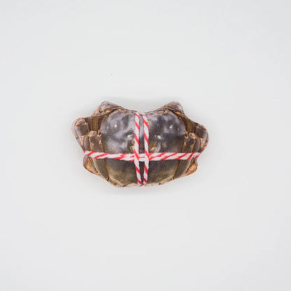 squeaky dog toys for small medium dogs durable crab-shaped plush squeaky chew toy for puppies