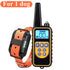 H9f88624d2eb44bfebb7eec13a6bb0491A - bestdoggylife.shop