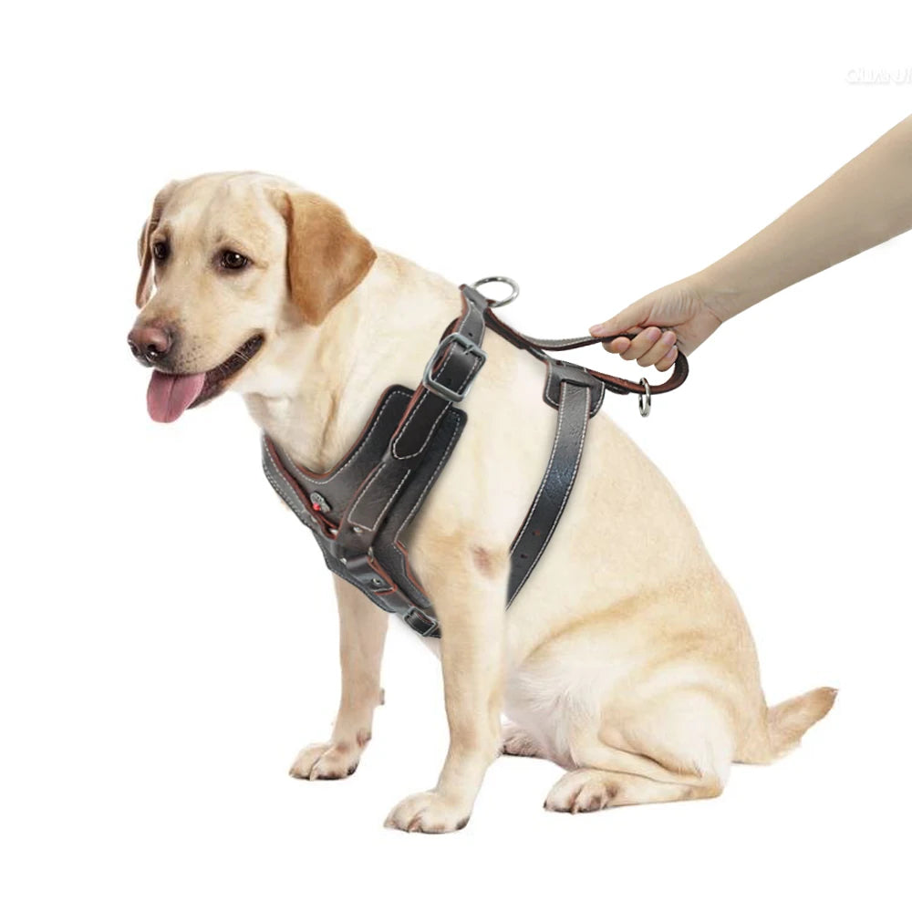 HTB1ACUuc.WF3KVjSZPhq6xclXXaL - bestdoggylife.shop