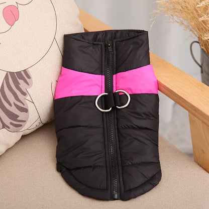 HTB1AFrrdjfguuRjy1zeq6z0KFXar - bestdoggylife.shop