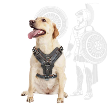HTB1BGEwc9SD3KVjSZFKq6z10VXaJ - bestdoggylife.shop