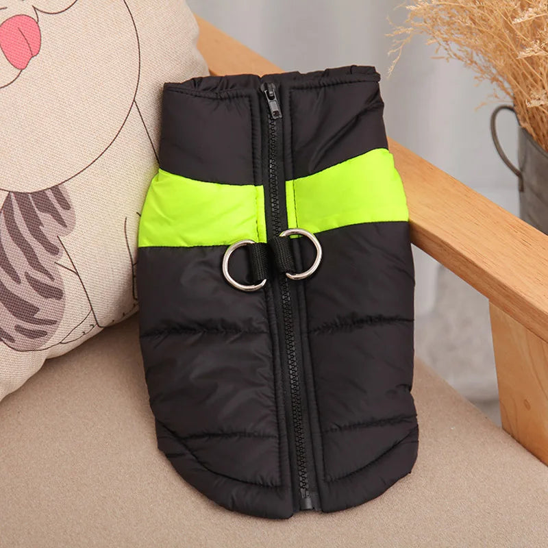 HTB1EXM.KeOSBuNjy0Fdq6zDnVXaz - bestdoggylife.shop