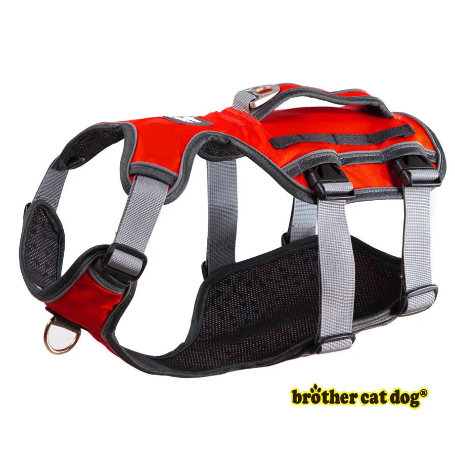 HTB1KebffuuSBuNjy1Xcq6AYjFXaK - bestdoggylife.shop