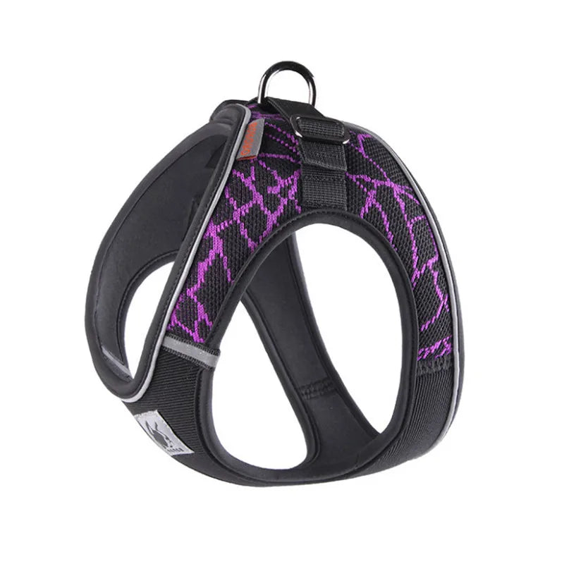 HTB1T8ouXROD3KVjSZFFq6An9pXaV - bestdoggylife.shop