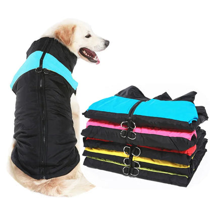 HTB1V6YqSpXXXXbcXFXXq6xXFXXXo - bestdoggylife.shop