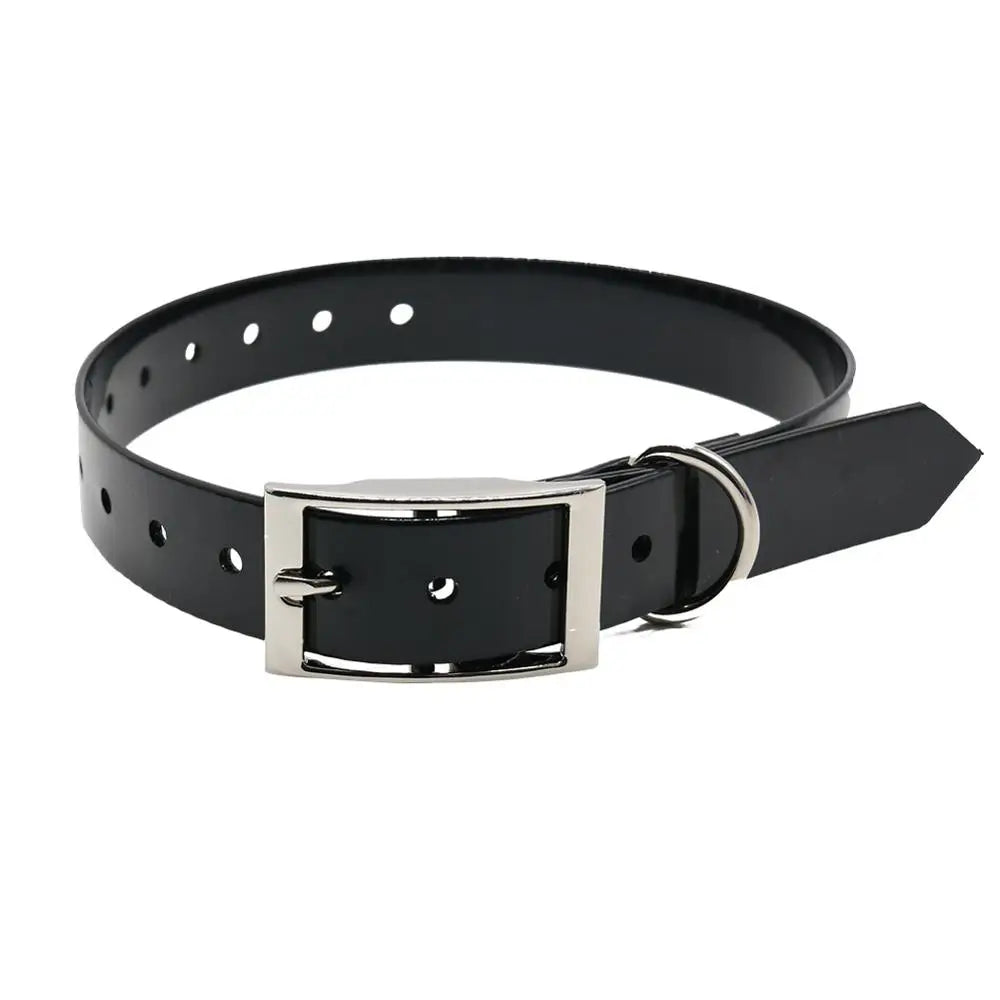 HTB1WhbaSXXXXXc6XFXXq6xXFXXXh - bestdoggylife.shop