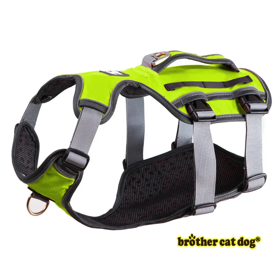 HTB1XPvcfv1TBuNjy0Fjq6yjyXXad - bestdoggylife.shop
