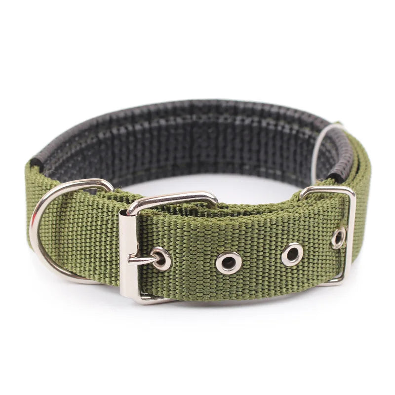 HTB1YRDuN7zoK1RjSZFlq6yi4VXaG - bestdoggylife.shop