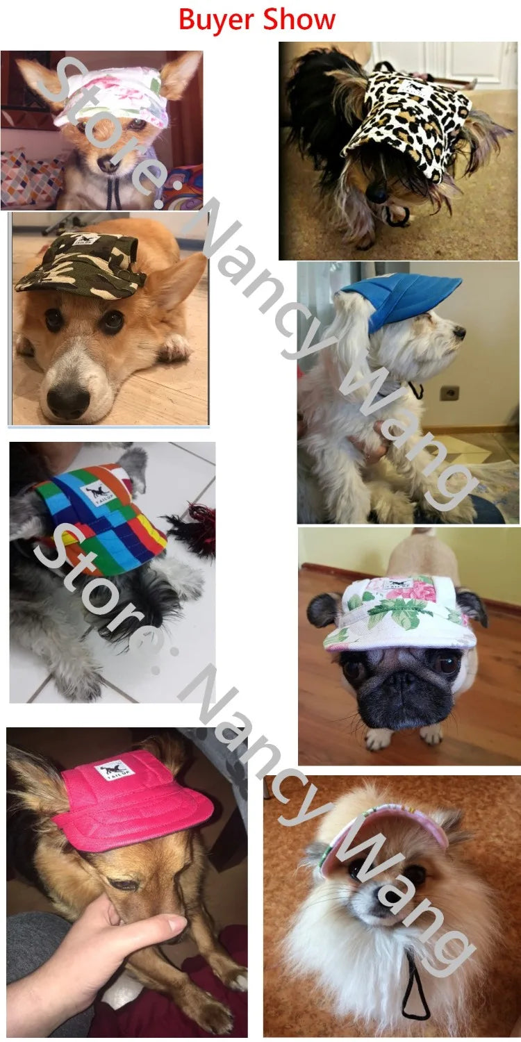 HTB1ZXq.br3XS1JjSZFFq6AvupXaK - bestdoggylife.shop