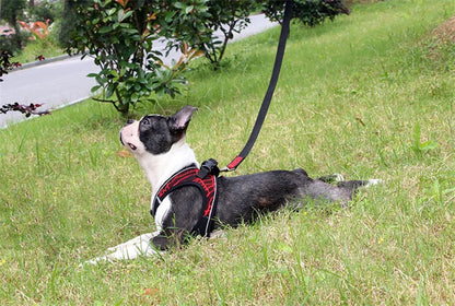 Dog Harness Reflective No Pull Choke Free Pet Harness for Small Medium Dogs Breathable Padded Harness Vest for Bulldog Chihuahua on grass.