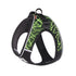 Dog Harness Reflective No Pull Choke Free Pet Harness for Small Medium Dogs Breathable Padded Harness Vest for Bulldog Chihuahua in green.