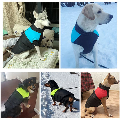 HTB1eww5vVooBKNjSZPhq6A2CXXax - bestdoggylife.shop