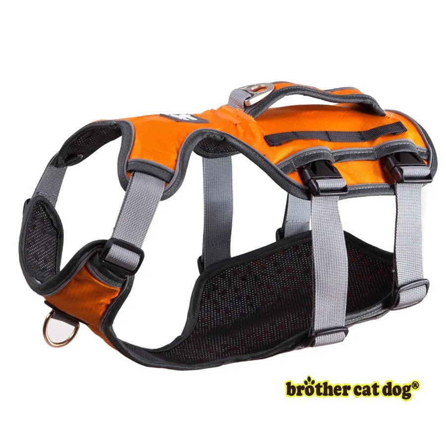 HTB1hVYgfr1YBuNjSszhq6AUsFXaQ - bestdoggylife.shop