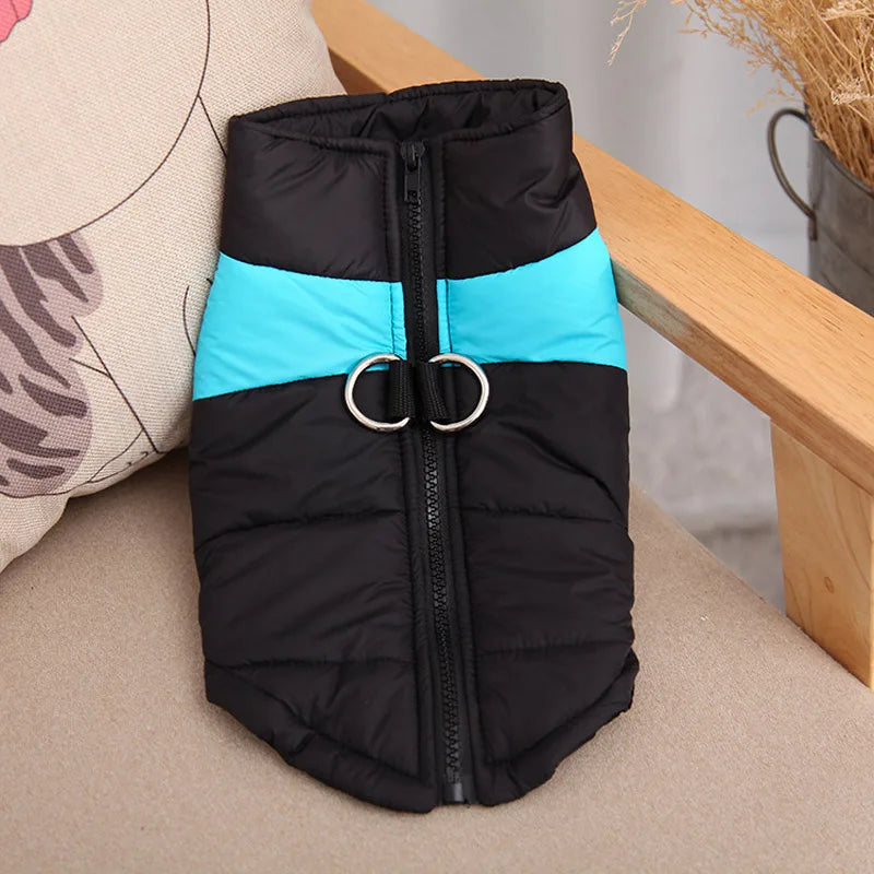 HTB1ih2oKv1TBuNjy0Fjq6yjyXXaB - bestdoggylife.shop