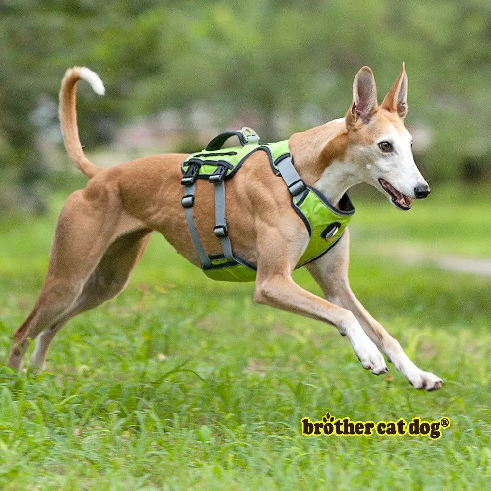 HTB1joS2fAyWBuNjy0Fpq6yssXXaI - bestdoggylife.shop