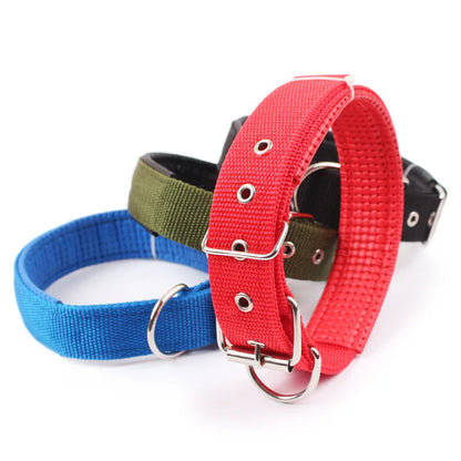 HTB1mXDrN4TpK1RjSZR0q6zEwXXar - bestdoggylife.shop