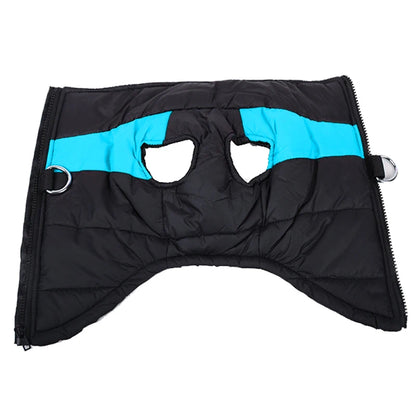 HTB1rSrgOxYaK1RjSZFnq6y80pXaR - bestdoggylife.shop