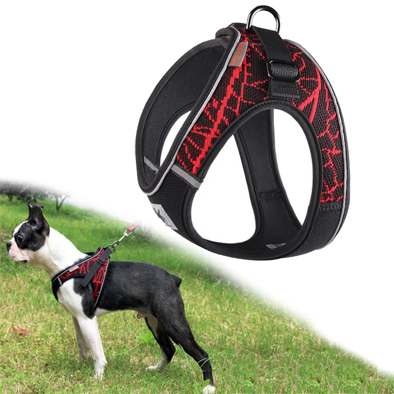 HTB1sFoCXG1s3KVjSZFtq6yLOpXaf - bestdoggylife.shop