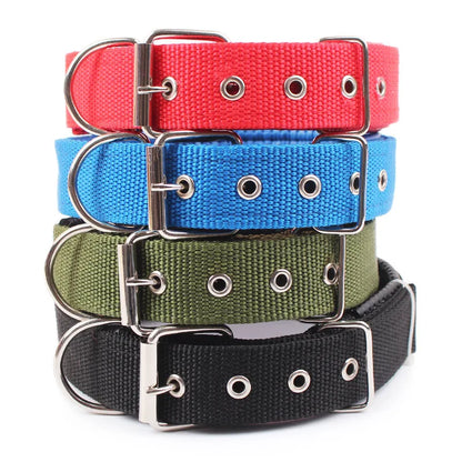 HTB1uw6EN4jaK1RjSZFAq6zdLFXaU - bestdoggylife.shop