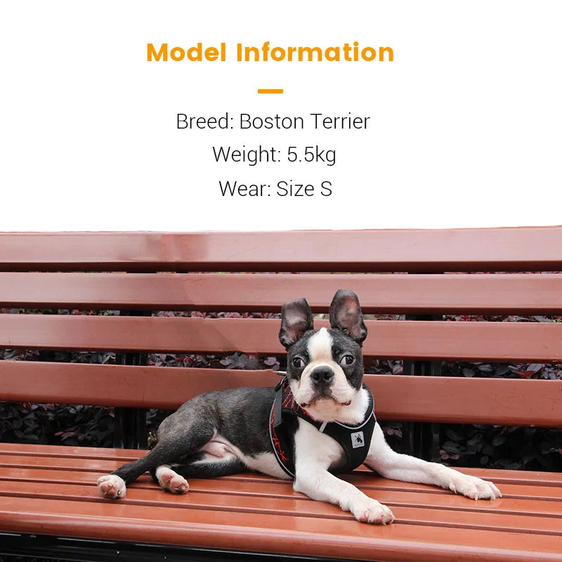 Dog Harness Reflective No Pull Choke Free Pet Harness for Small Medium Dogs Breathable Padded Harness Vest for Bulldog Chihuahua on a Boston Terrier.