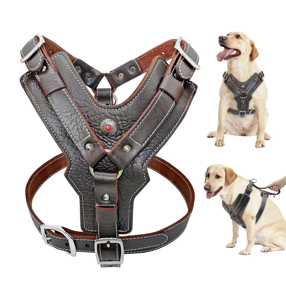 HTB1wXWddlGE3KVjSZFhq6AkaFXaD - bestdoggylife.shop