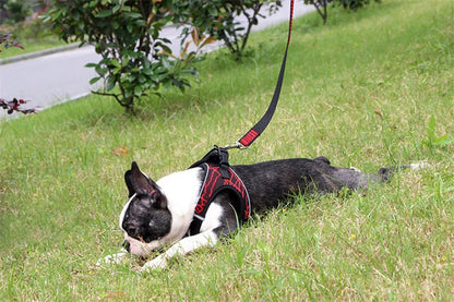 Dog Harness Reflective No Pull Choke Free Pet Harness for Small Medium Dogs Breathable Padded Harness Vest for Bulldog Chihuahua