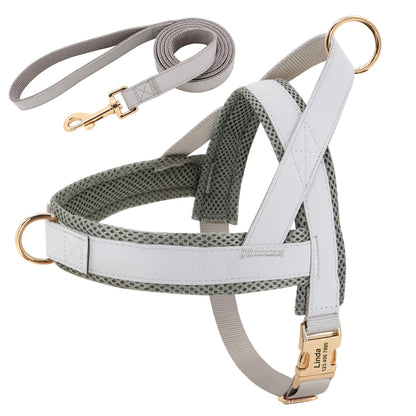 Personalized Dog Harness Leash Set No Pull Dog Harnesses Adjustable Pet Vests For Small Medium Large Dogs Pets Walking Lead Rope