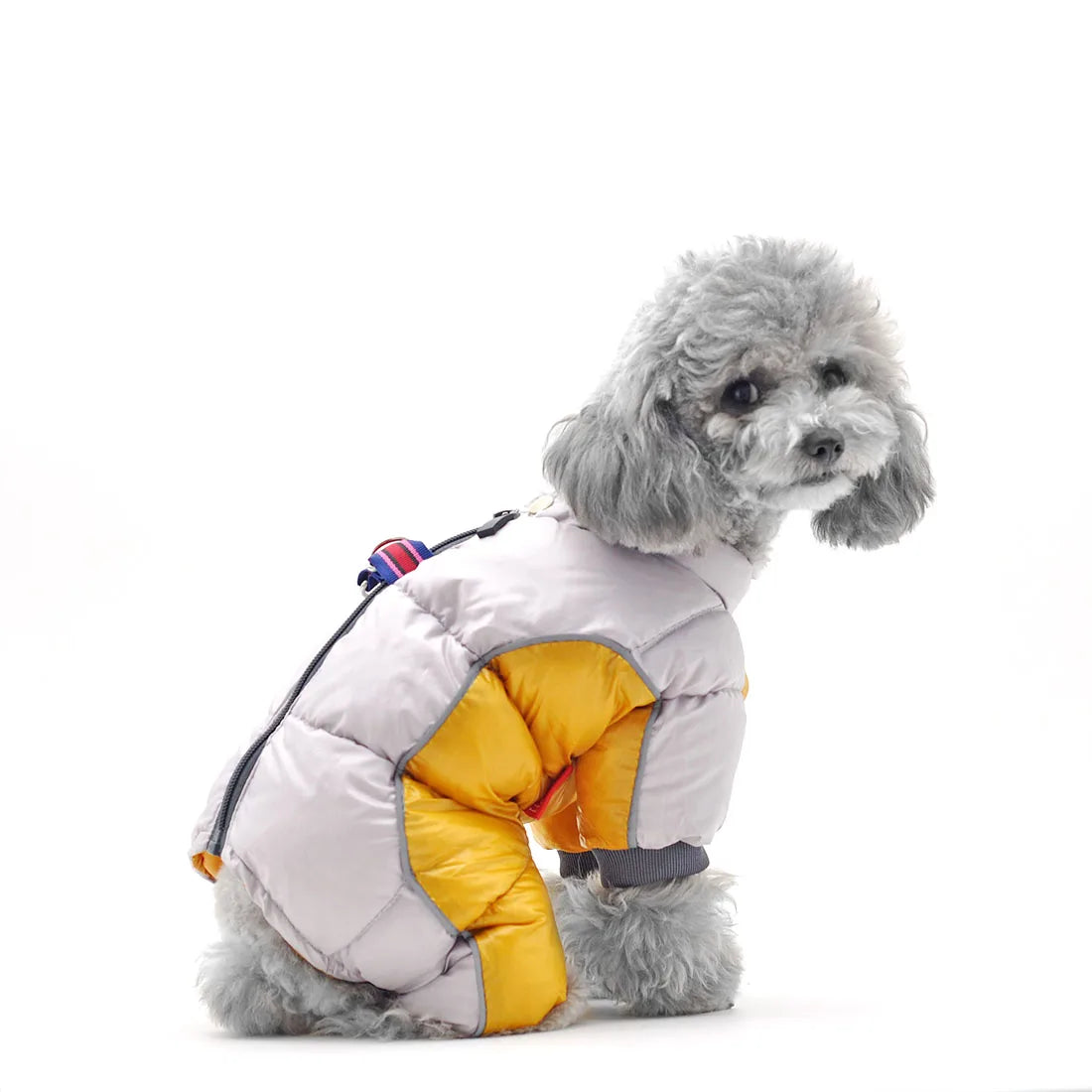 Hc03ba3b037e84a07bb59232aebbbc5d45_14724683-758f-49c7-b320-a27c7fb5f8bd - bestdoggylife.shop