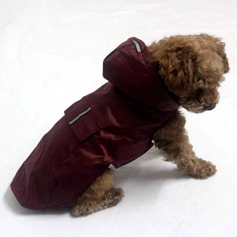 Hc17998f2c122479aa6a5da539a42863eM_180f225b-5824-4b4a-84b7-46db7534b164 - bestdoggylife.shop