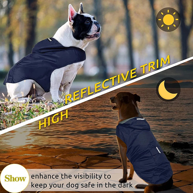 Hc7b2156a2fbe489ebe468d13b1346e90i_a0a47914-b2cc-406a-9770-78a9d4c1f840 - bestdoggylife.shop