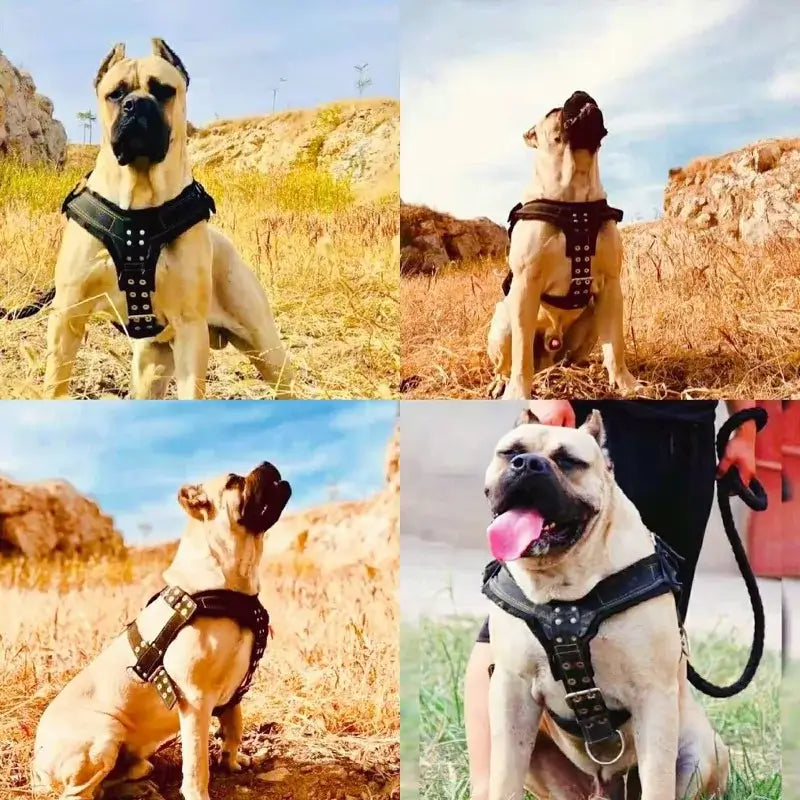 large dog harness for pit bull with adjustable padded nylon halter vest for secure walking and training