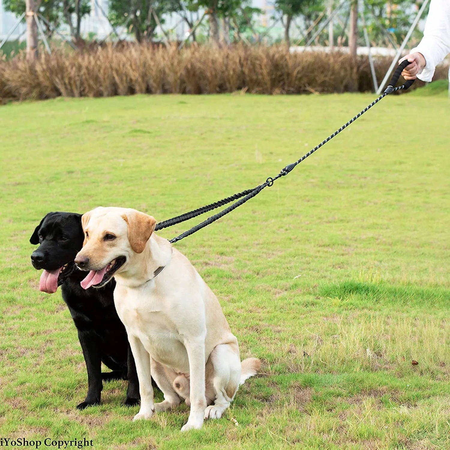 Double dog leash coupler for walking two dogs, nylon twin lead with poop bag, adjustable leash for outdoor training