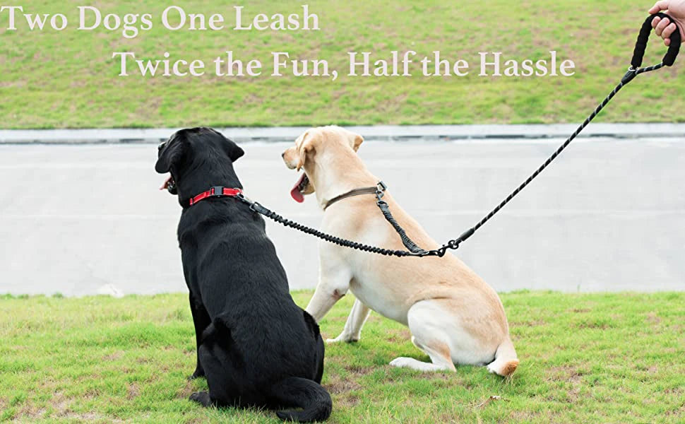 Double dog leash coupler for walking two dogs, nylon twin leads with poop bag holder, durable multi leash for easy control.