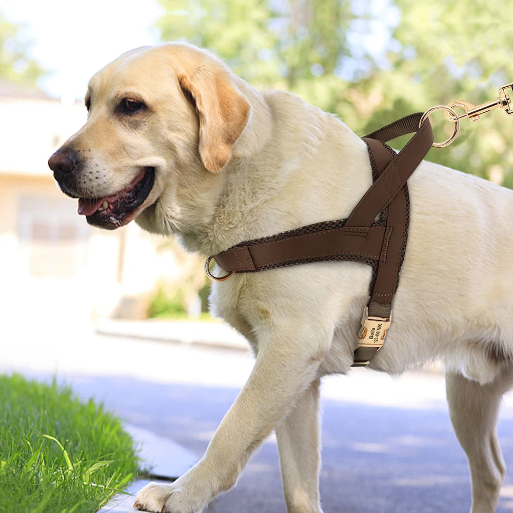 personalized no pull dog harness for medium large dogs, adjustable walking training vest with free engraving