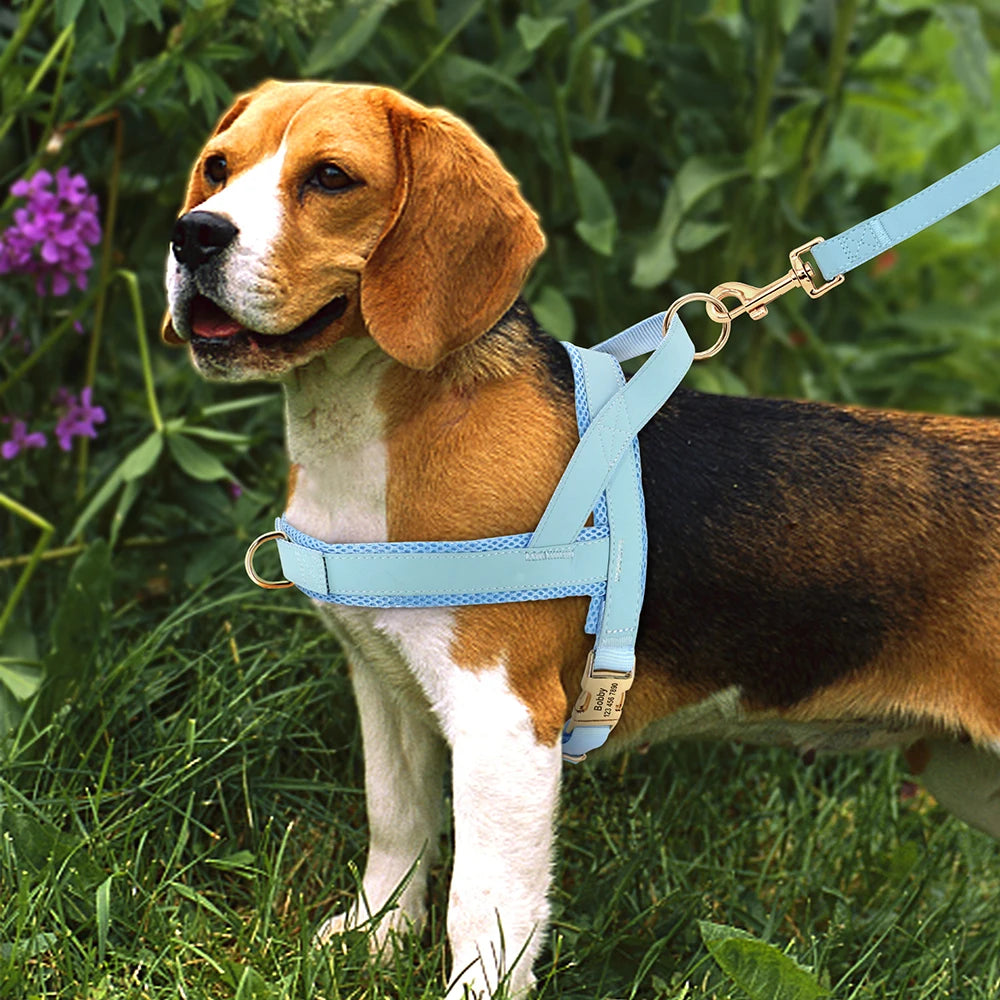 personalized no pull dog harness for medium large dogs, adjustable blue walking vest with leash attachment