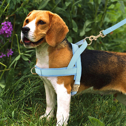 personalized no pull dog harness for medium large dogs, adjustable blue walking vest with leash attachment