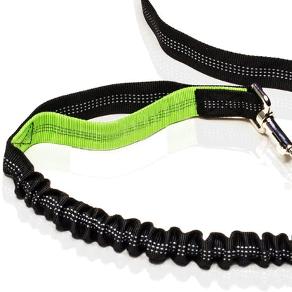 Hf93c86f35ee54292934d88e2f0ed2d33L - bestdoggylife.shop