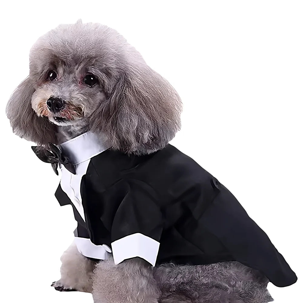 S005a6179fde74fc185956d4e7d133ee3N_2cb73432-0031-489a-abf9-c4da84f24763 - bestdoggylife.shop