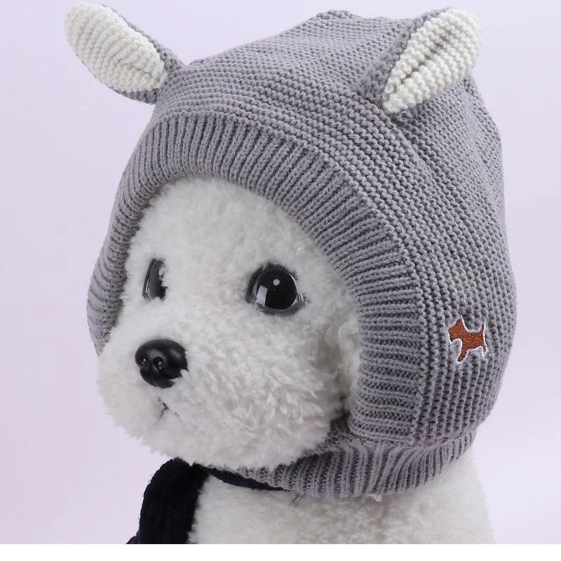 Small white dog wearing a gray knit hat with ear details and an embroidered patch.