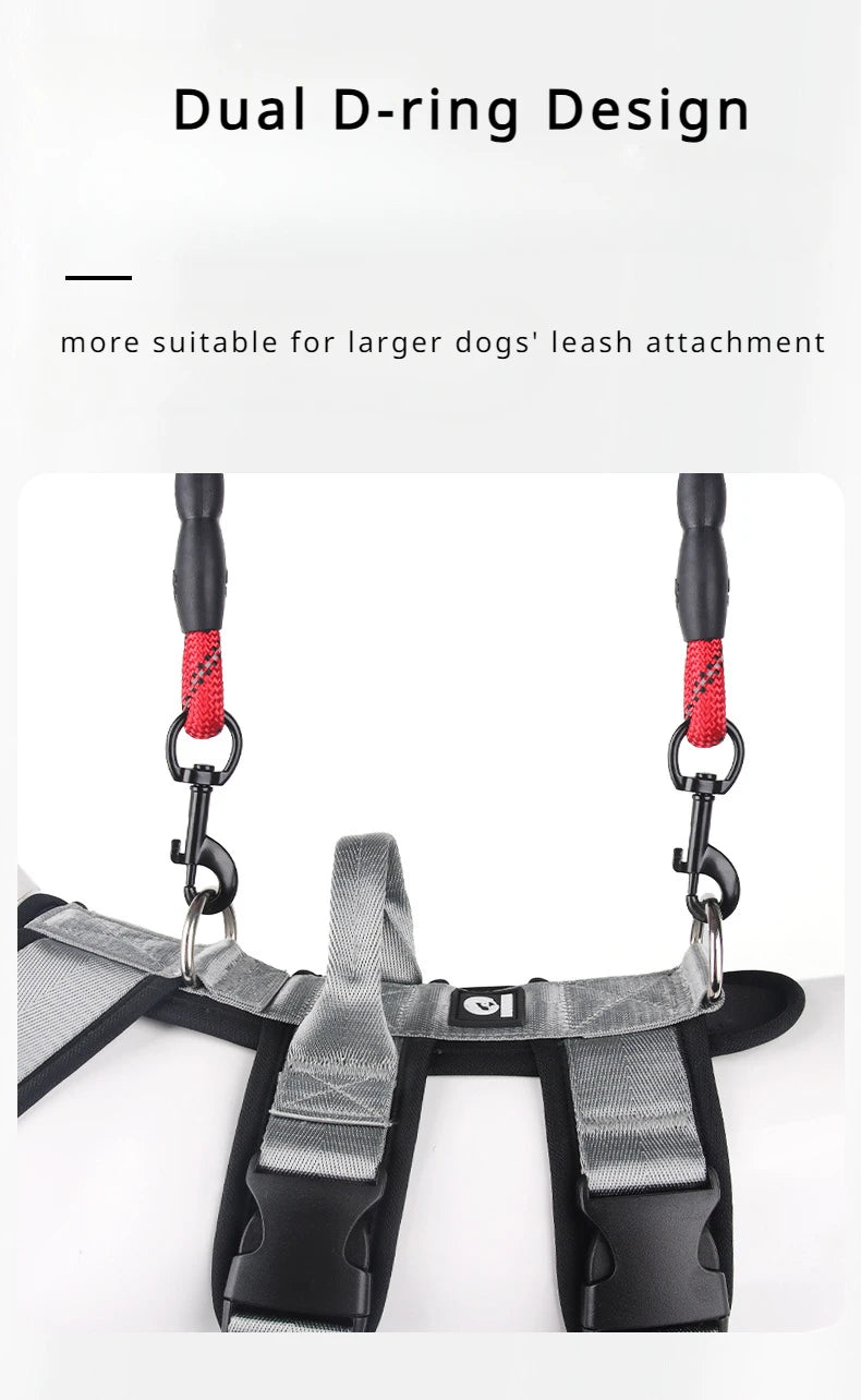 Gray dog harness with dual D-ring leash attachment and adjustable straps for large dogs