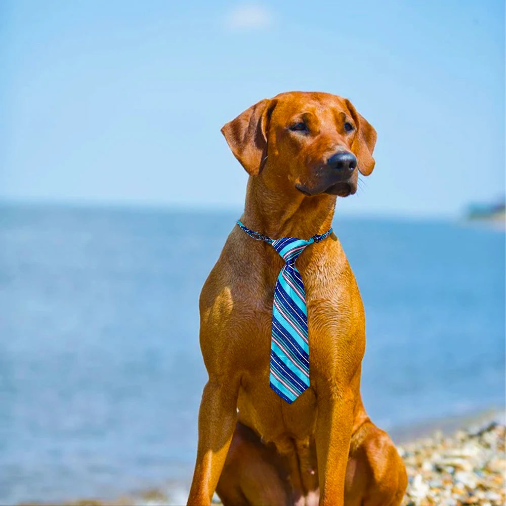S0170b6abe68c44cdba0f0056abab3c63f - bestdoggylife.shop