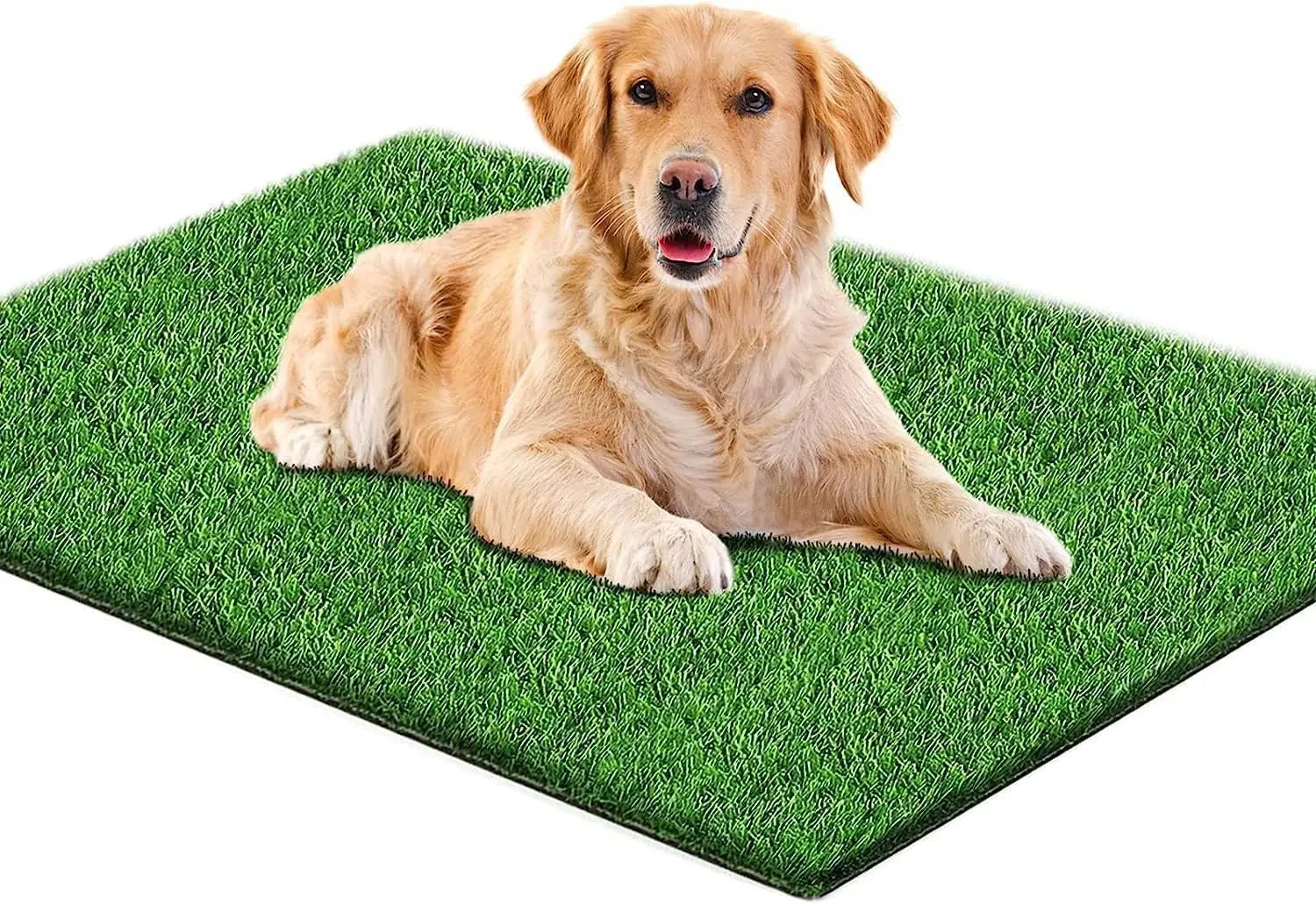 S018aea553ae34da78e2af77c70b50c594 - bestdoggylife.shop