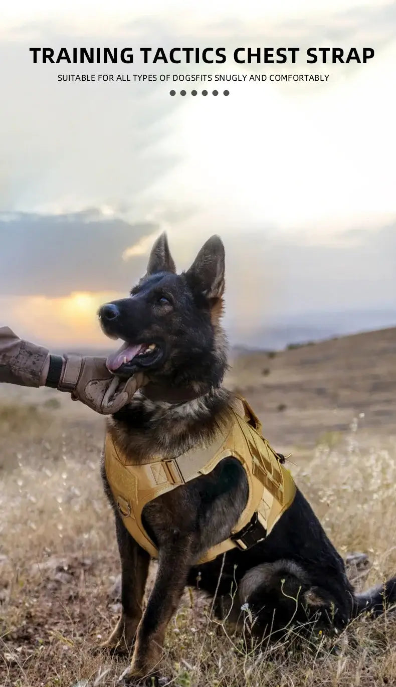 Tactical Dog Vest Harness No Pull Comfortable Adjustable Pet Harness For Medium Large Dog Military Training With Handle Labrador