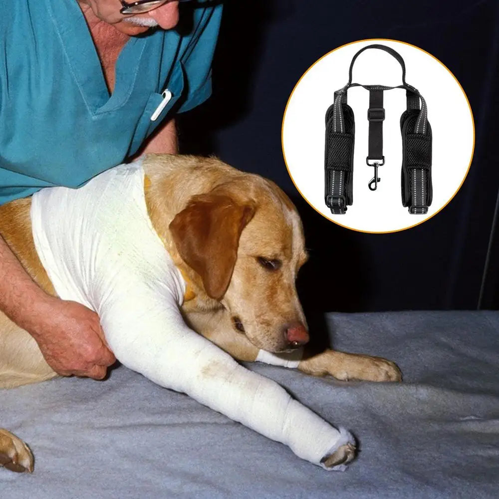 Dog Vest Harnesses Adjustable Hip Support Harness Sturdy Handle Vest Harnesses Dog Lift Harness For Elderly Or Disabled Dogs