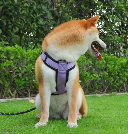 no pull dog harness with handle for Shiba Inu, secure purple pet harness for walking and outdoor training