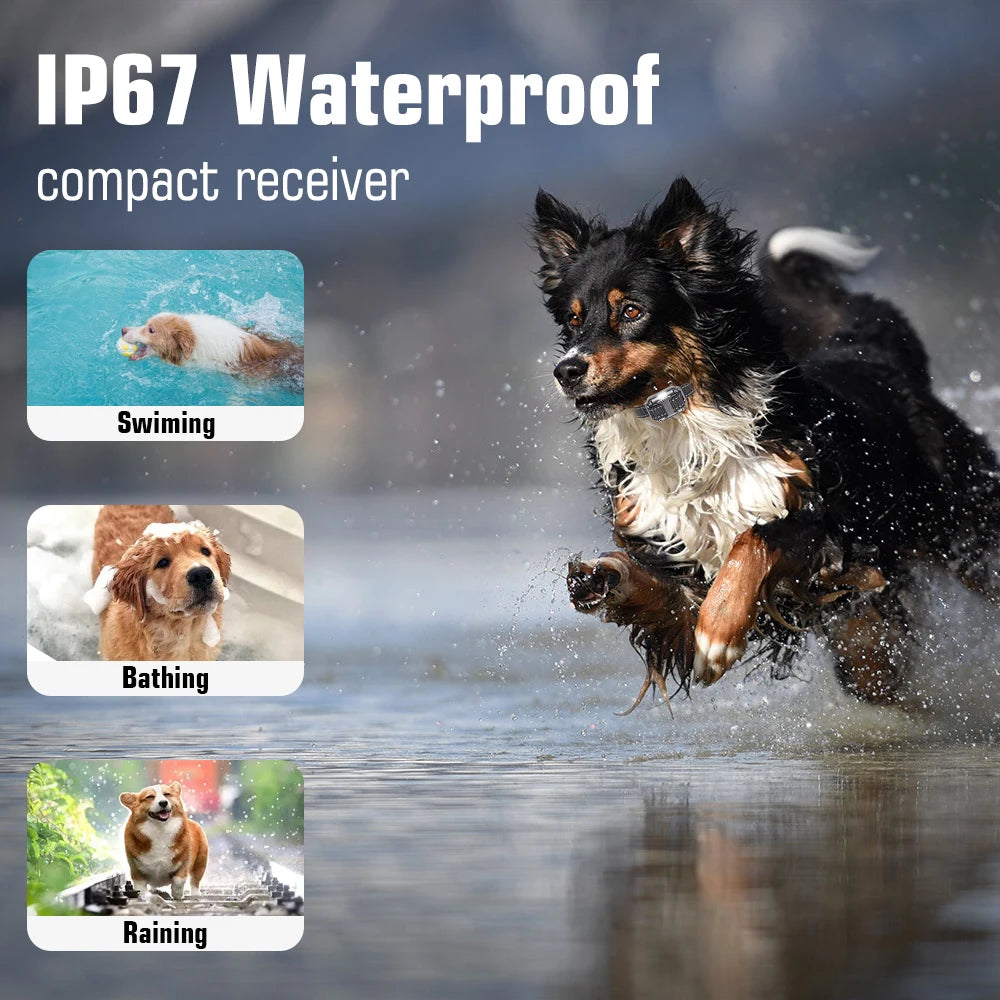 Dog Collar for 3 Dogs, Waterproof Rechargeable Dog Training Collar with Remote for Small, Medium and Large Dogs,IP67 Wat in use.