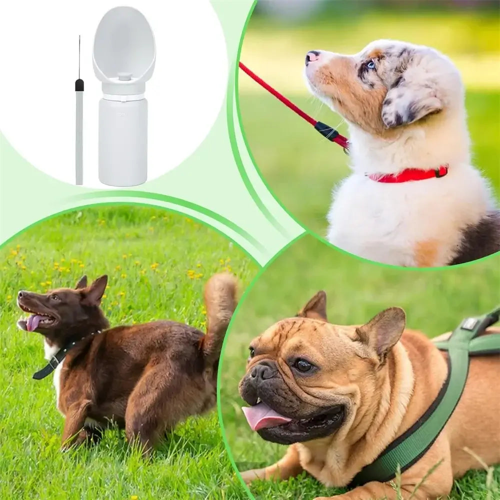portable dog water bottle for outdoor walks and travel, leak proof foldable silicone pet drinking bottle