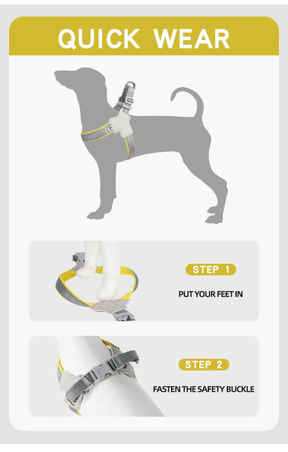 Dog harness quick wear guide, showing feet placement and fastening safety buckle steps