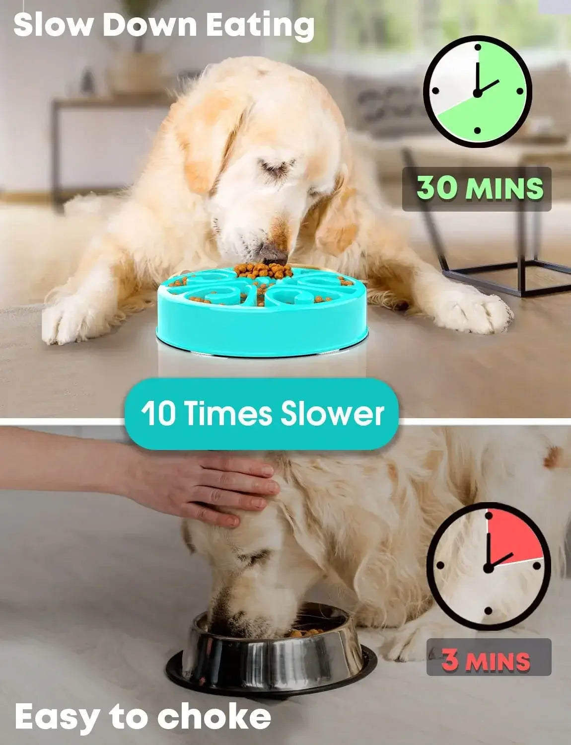 Golden retriever using slow feeder dog bowl to eat slower and prevent choking, non-slip anti-gulping pet feeding dish