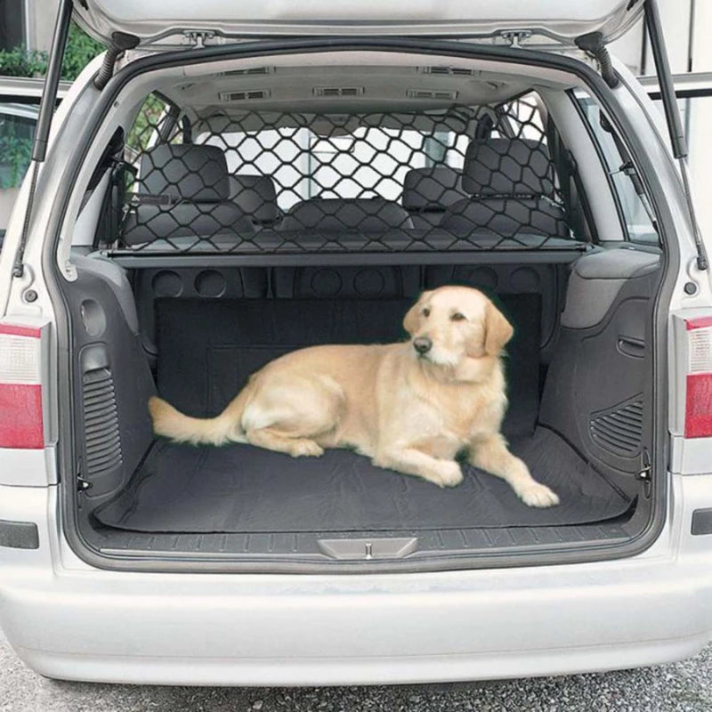 S03fc8113ffa041b9ae640abf4563d945h - bestdoggylife.shop